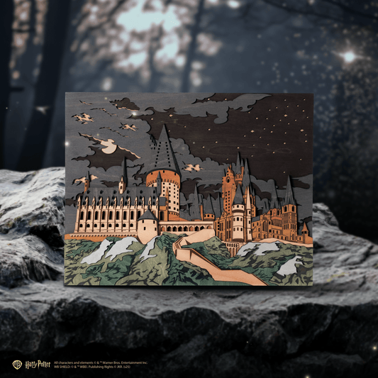 HOGWARTS™ 3D WOOD WALL POSTER - ZeWood
