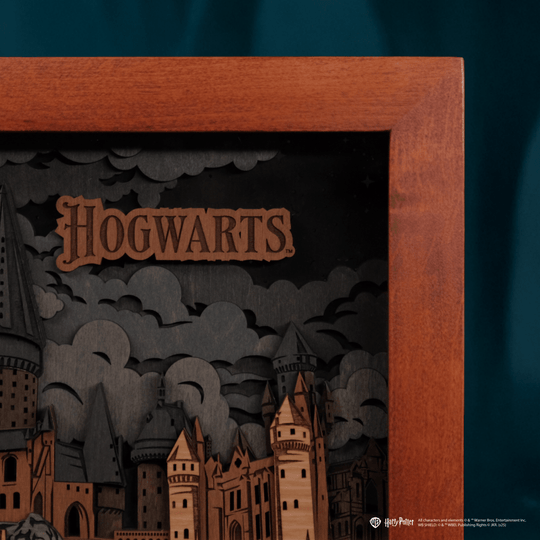 HOGWARTS COLLECTIBLE CARD - ZeWood
