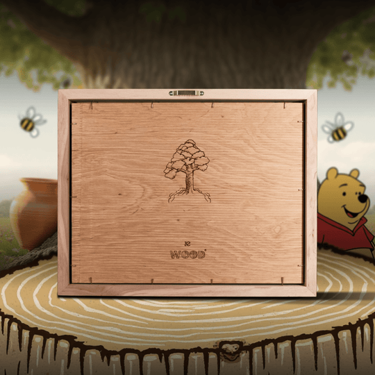 WINNIE THE POOH 3D WOOD MAP - ZeWood