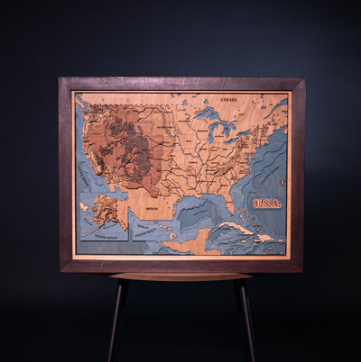 USA 3D WOOD MAP