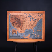 USA 3D WOOD MAP